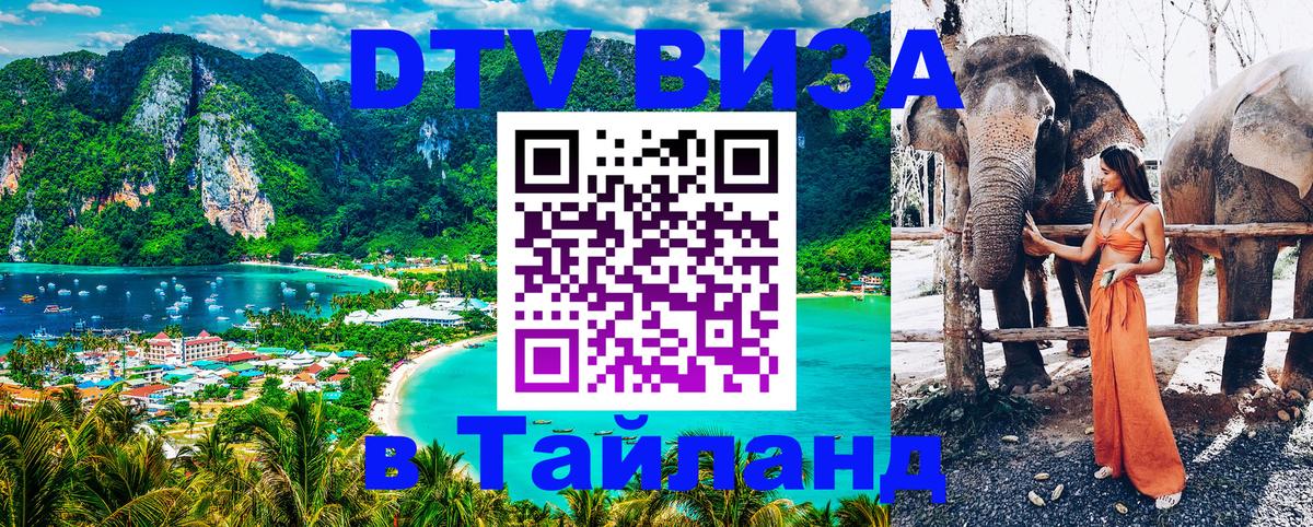 Оформление DTV визы под ключ: стоимость и тарифы, только загранпаспорт - 19.11.2025 